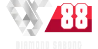 ds88 logo